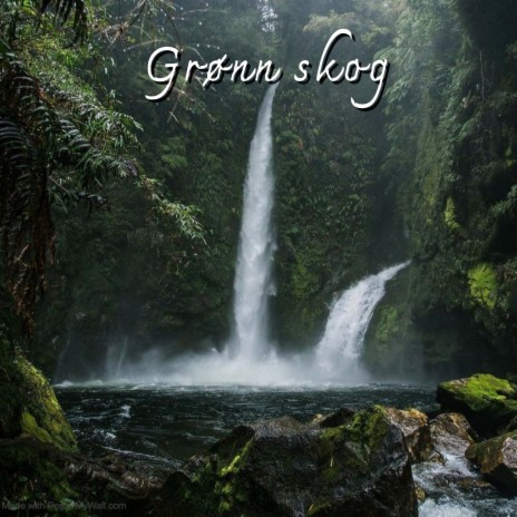 Grønn skog ft. Jane Quin | Boomplay Music