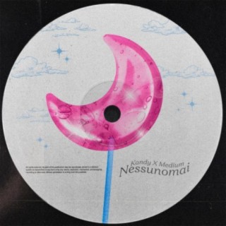 Nessunomai ft. Medium lyrics | Boomplay Music