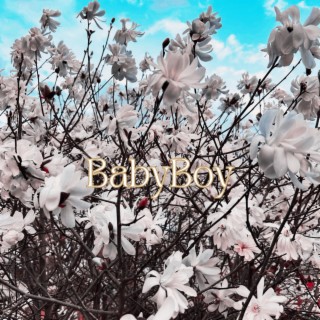 BabyBoy lyrics | Boomplay Music