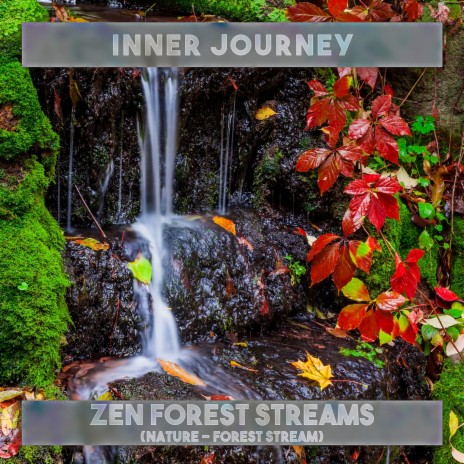 The Opal Shine of Darkness (Nature – Forest Stream) | Boomplay Music