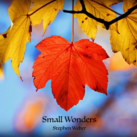 Small Wonders