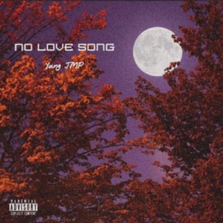 No Love Song