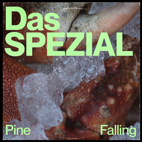 Pine Falling (Instrumental)