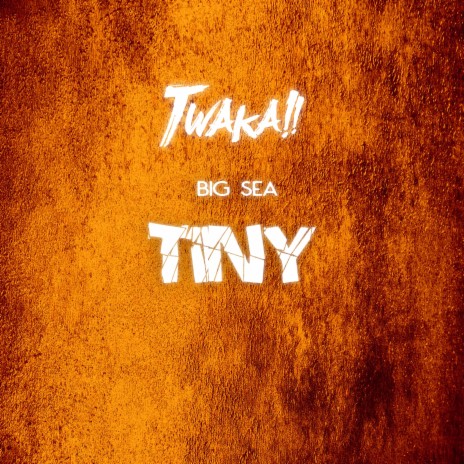 Tiny | Boomplay Music