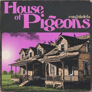 House of Pigeons