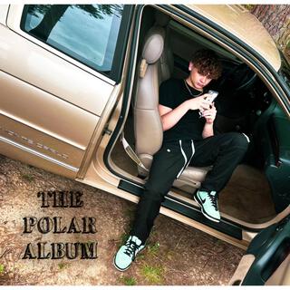 THE POLAR ALBUM