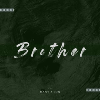 Brother lyrics | Boomplay Music