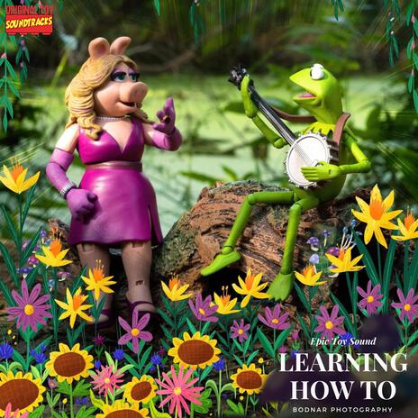 The Muppets: Learning How to Love (Live) ft. bodnar_photography & Long Live Jimmy