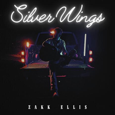 Silver Wings | Boomplay Music