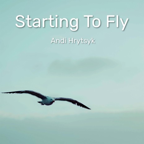 Starting To Fly | Boomplay Music