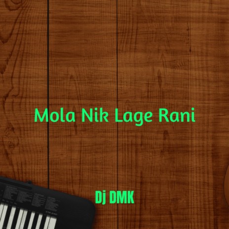 Mola Nik Lage Rani | Boomplay Music