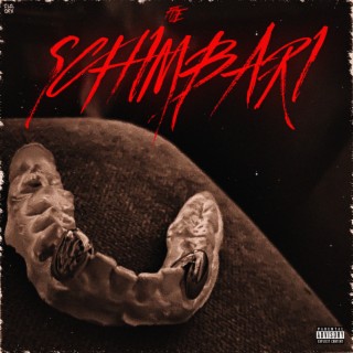 Schimbari lyrics | Boomplay Music