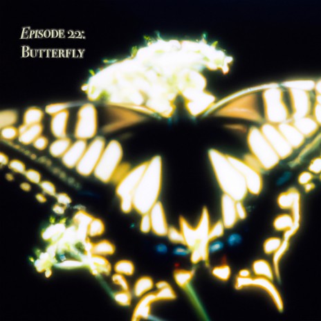 Episode 22: Butterfly | Boomplay Music