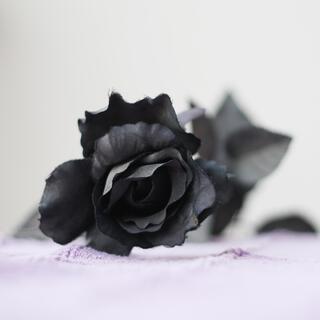 Black Roses