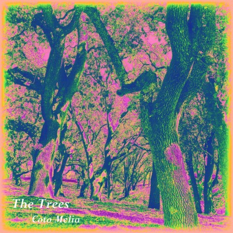 The Trees | Boomplay Music