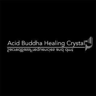 Acid Buddha Healing Crystal