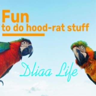 Fun to do hood-rat stuff, Comedy Music