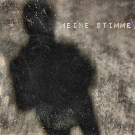 Meine Stimme ft. Albino, Dirk Fiebelkorn & Florian Nienerza | Boomplay Music