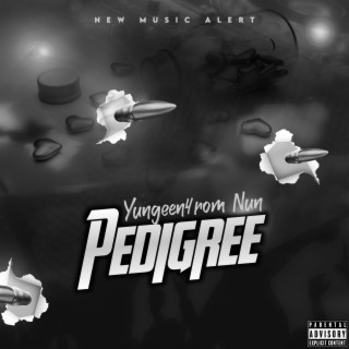 Pedigree lyrics | Boomplay Music