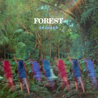 Forest lyrics | Boomplay Music