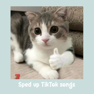Sped up TikTok Songs | Sped up Orinn #38