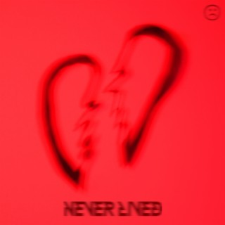 Never Lived lyrics | Boomplay Music