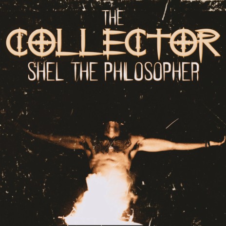 The COLLECTOR | Boomplay Music