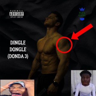 Dingle Dongle (Donda 3)