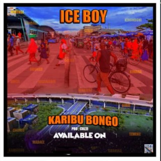 Karibu Bongo