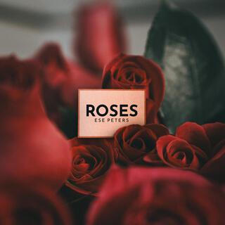 Roses lyrics | Boomplay Music