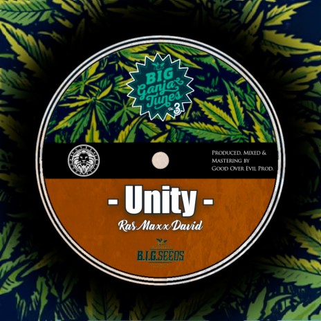 Unity Dub ft. Good Over Evil | Boomplay Music
