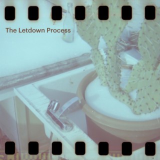 The Letdown Process