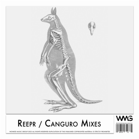 Canguro | Boomplay Music