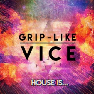 Grip-Like Vice