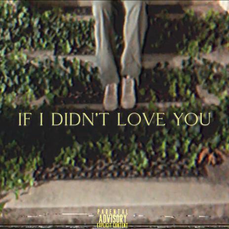 if i didn't love you | Boomplay Music