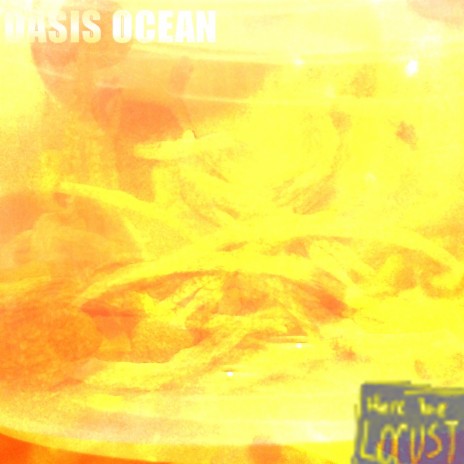 Oasis Ocean