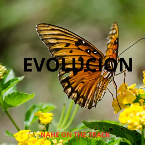 EVOLUCION | Boomplay Music