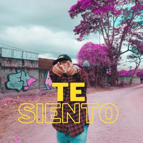 Te siento | Boomplay Music