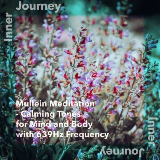 Mullein Meditation - Calming Tones for Mind and Body with 639Hz Frequency