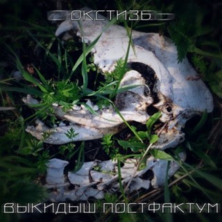 Выкидыш постфактум