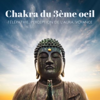 Chakra du 3ème oeil: Télépathie, Perception de l'aura, Voyance, La porte qui mène aux royaumes intérieurs et aux espaces de conscience supérieure