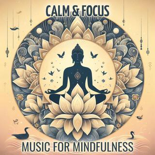 Calm & Focus (Music for Mindfulness)