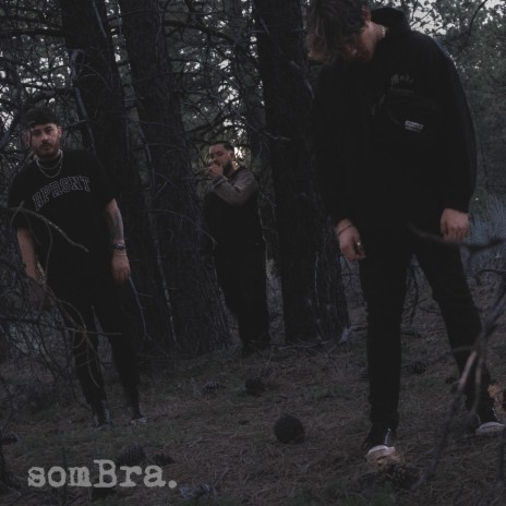 Sombra ft. ZVY., Darias & Callouz | Boomplay Music