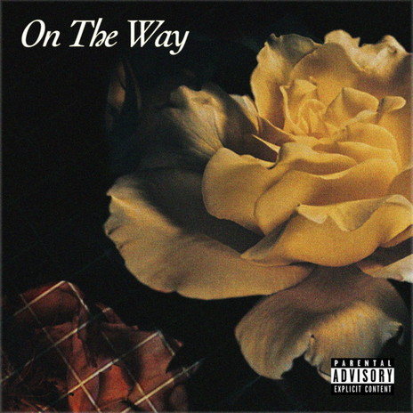 On The Way | Boomplay Music