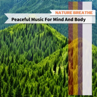 Peaceful Music For Mind And Body