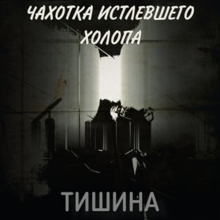 Тишина