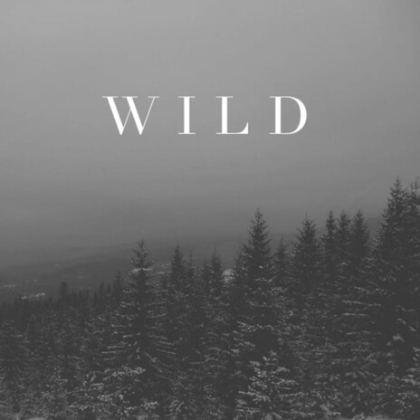 Wild | Boomplay Music