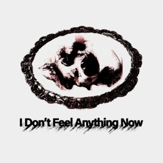 I Dont Feel Anything Now lyrics | Boomplay Music