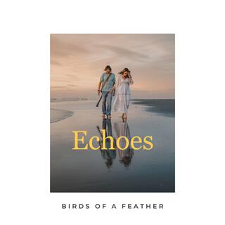 Echoes lyrics | Boomplay Music