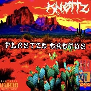 PLASTiC CACTUS